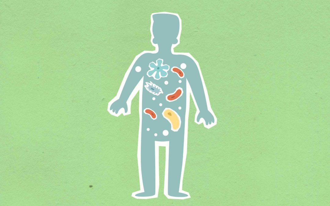 Mikrobiom i plodnost: što nova istraživanja govore?