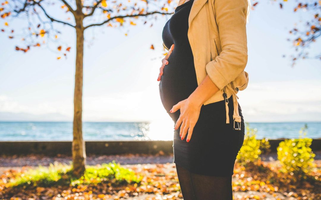 IVF put do naše male Točkice
