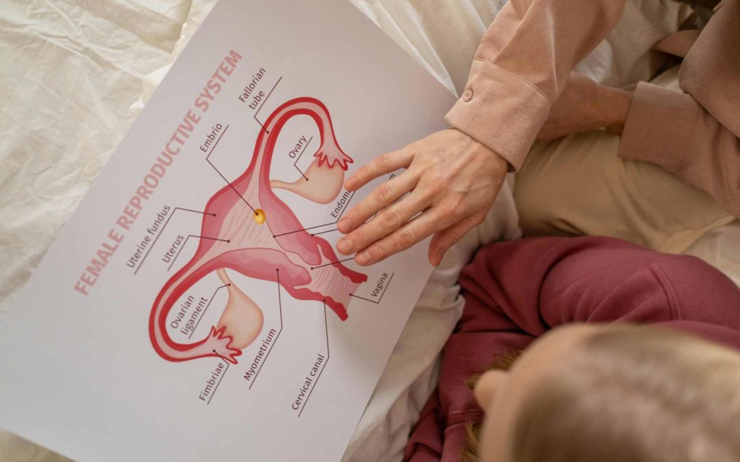 Endometrij za IVF: koliki treba biti i koliko utječe na uspjeh transfera?