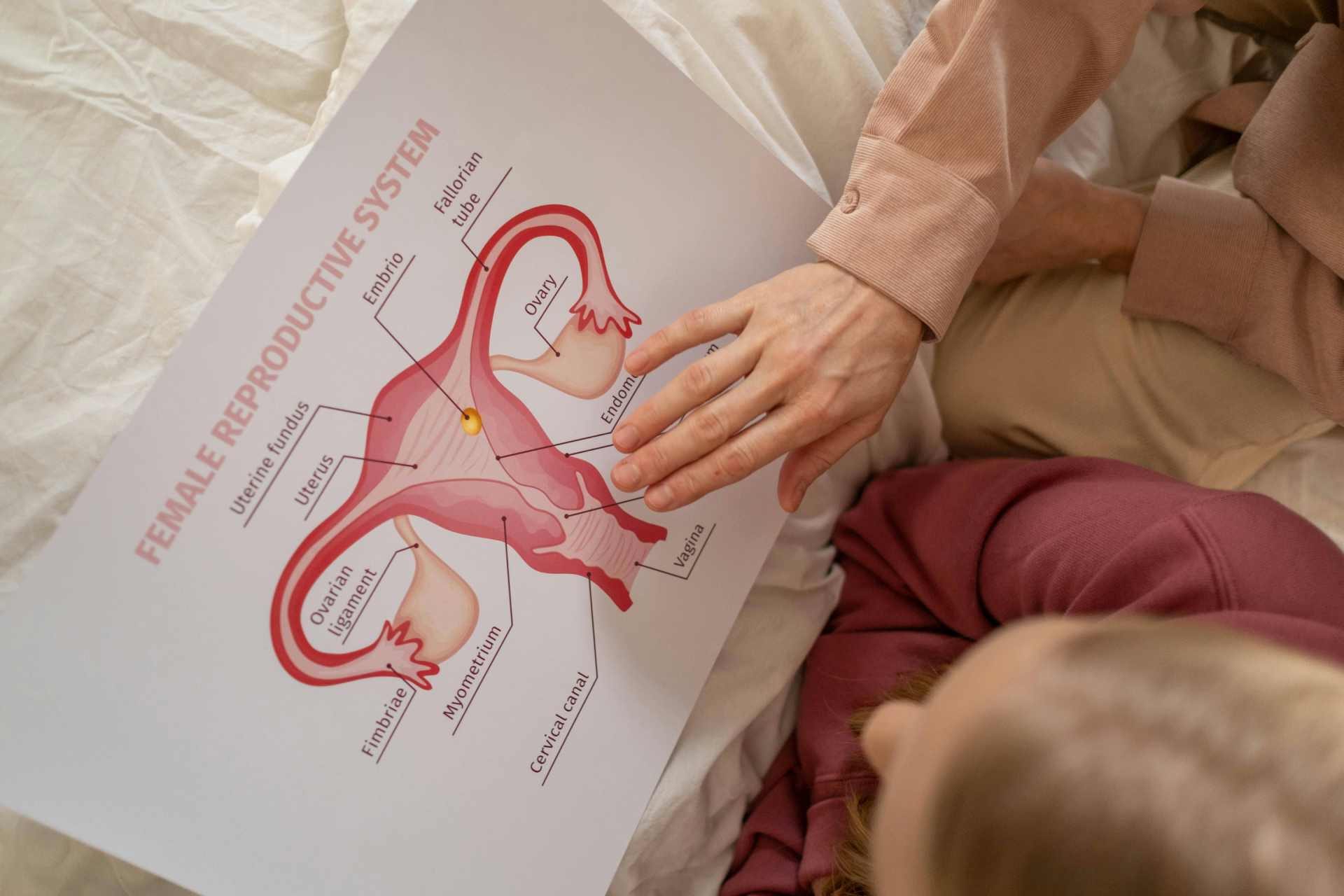 endometrij, IVF, koliki treba biti endometrij, Miraculum 1
