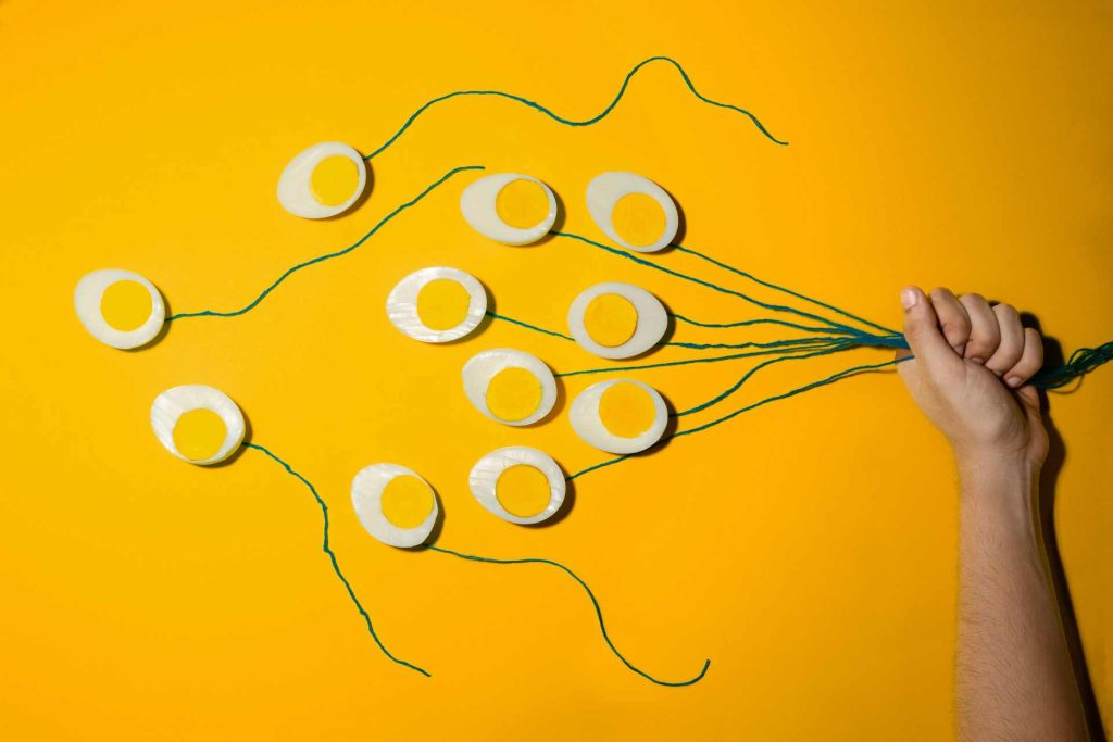IVF, DNA fragmentacija spermija